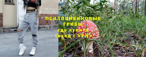дурь Белоозёрский