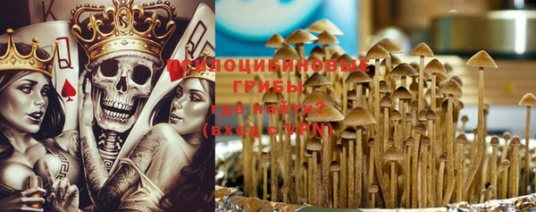 дурь Белоозёрский