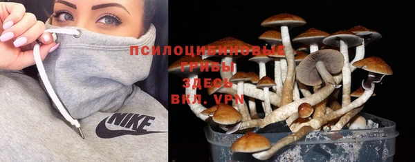 дурь Белоозёрский
