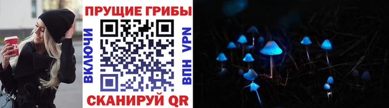 Псилоцибиновые грибы ЛСД  наркота  Волосово 