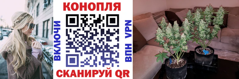 Бошки марихуана OG Kush Волосово